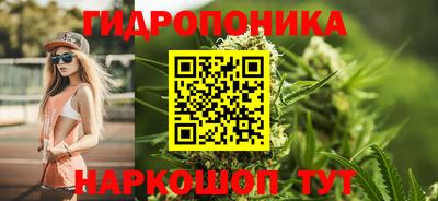 герыч Кингисепп