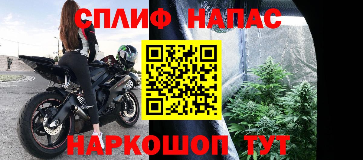 Конопля планчик Балашов